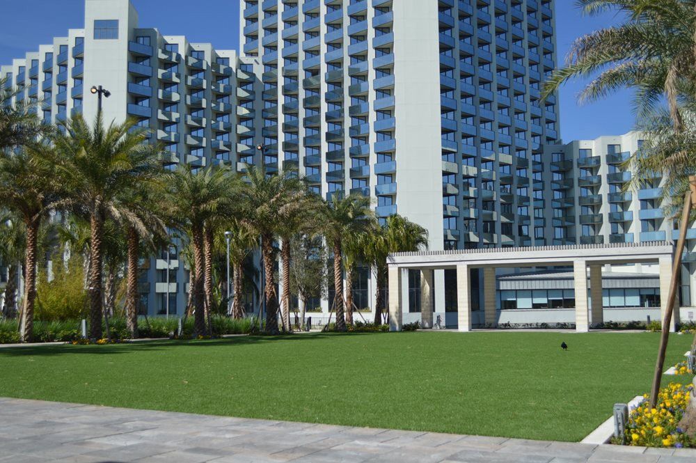 Albuquerque artificial grass landscaping
