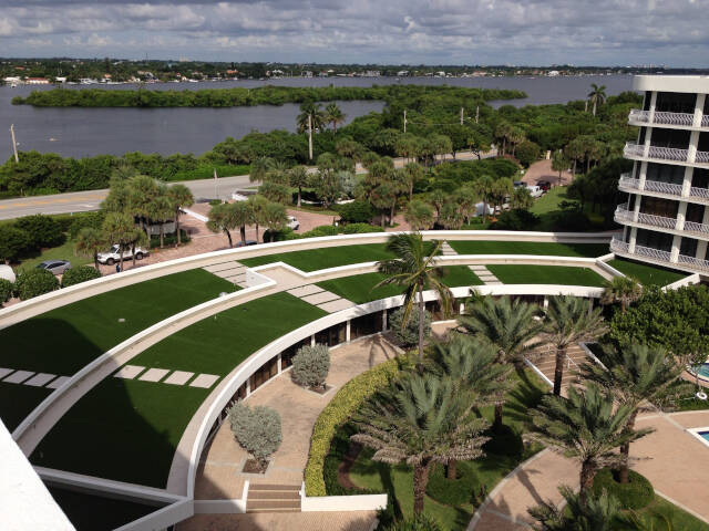 Albuquerque commercial landscape turf