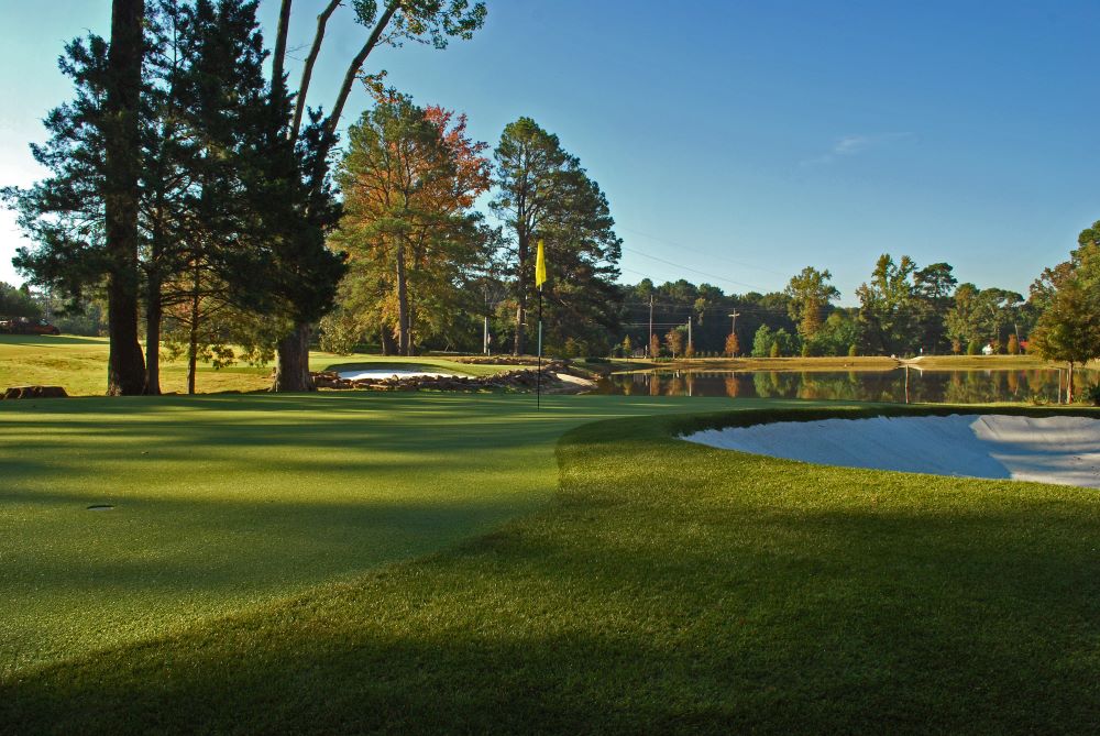 Albuquerque Artificial Turf Golf Course